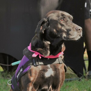 Team Page: ESF Warriors